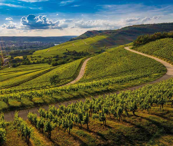 Vignobles du Beaujolais